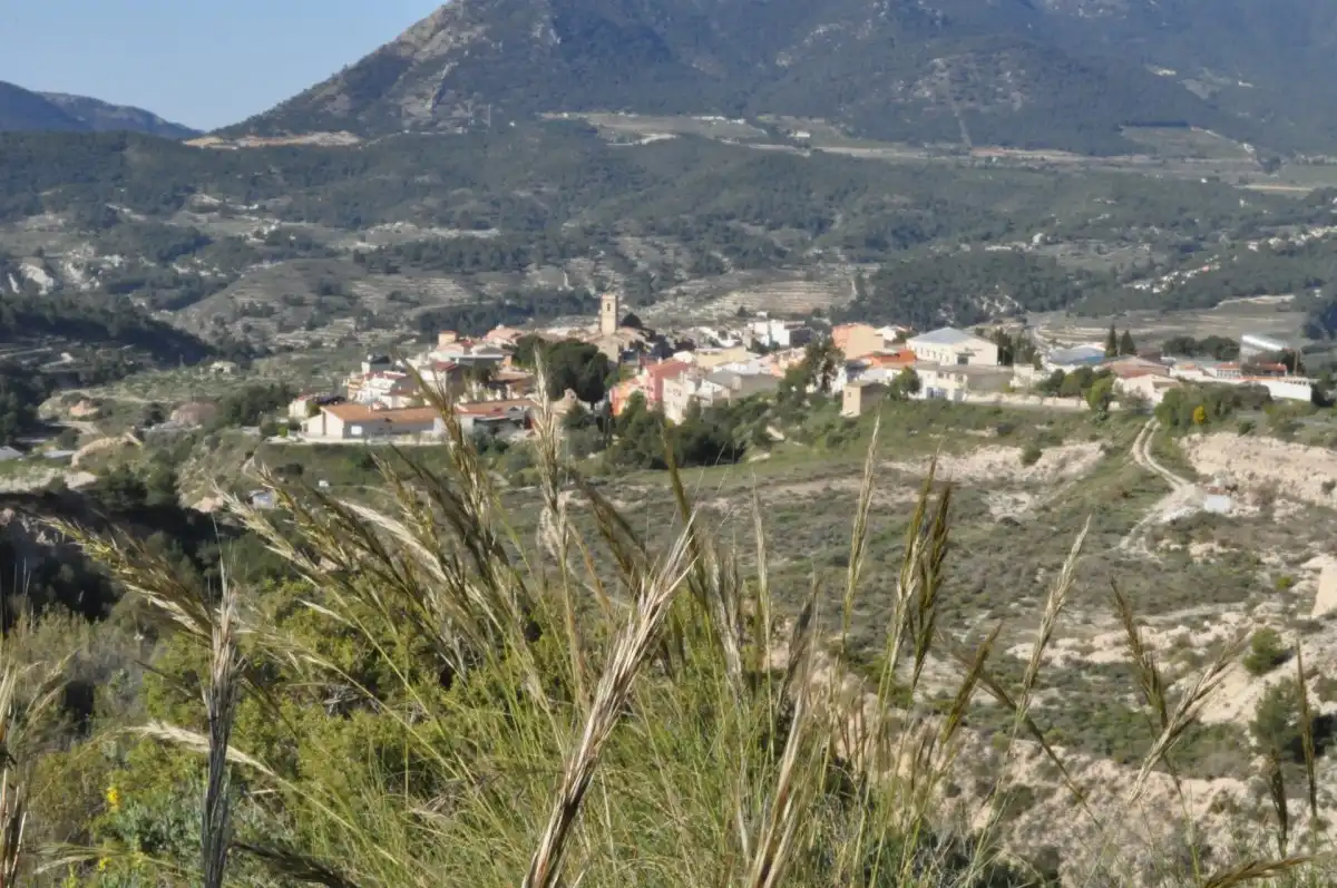 Vista exterior de Terreno industrial en venta en Tibi