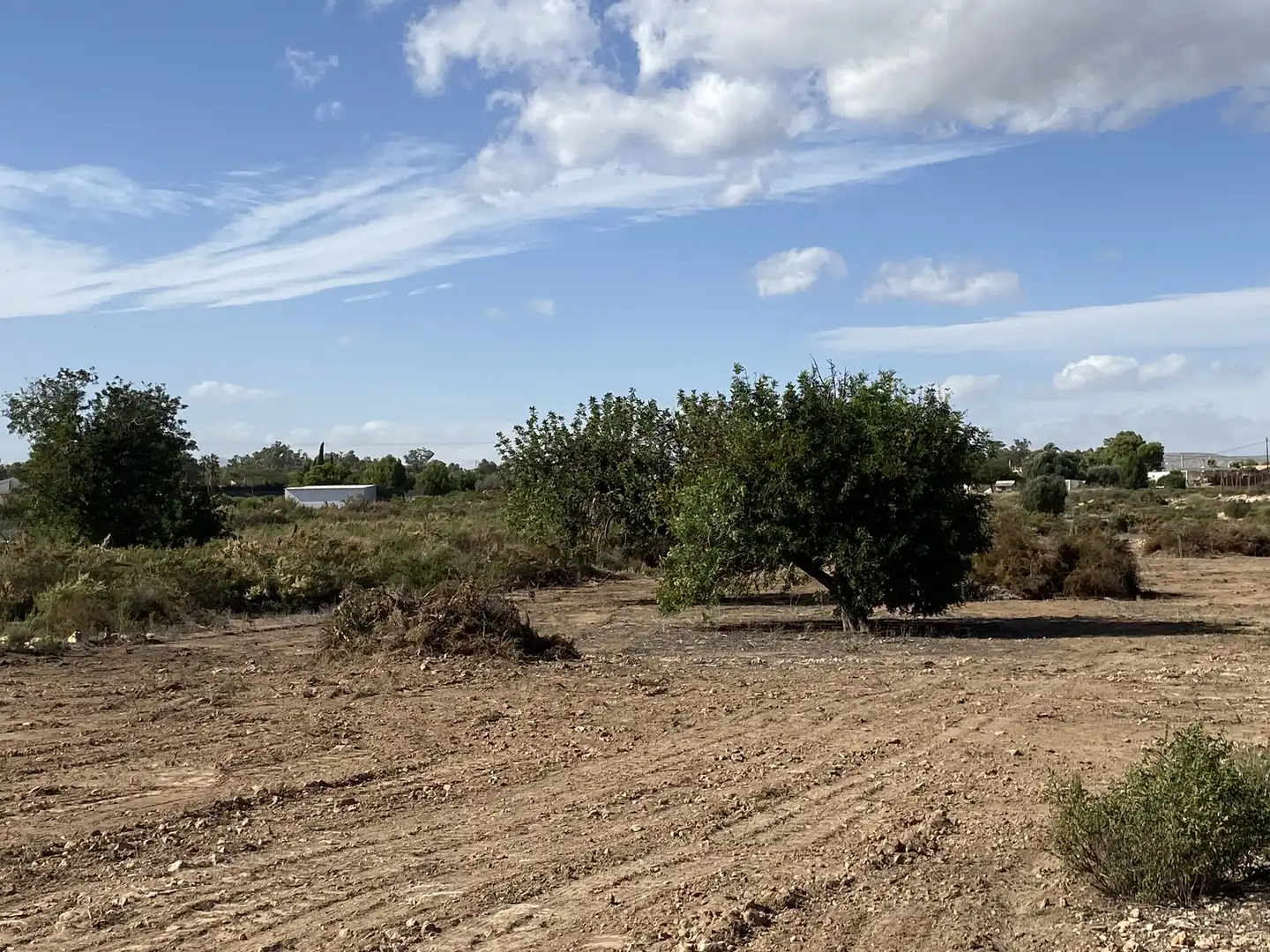 Land for sale in Elche / Elx