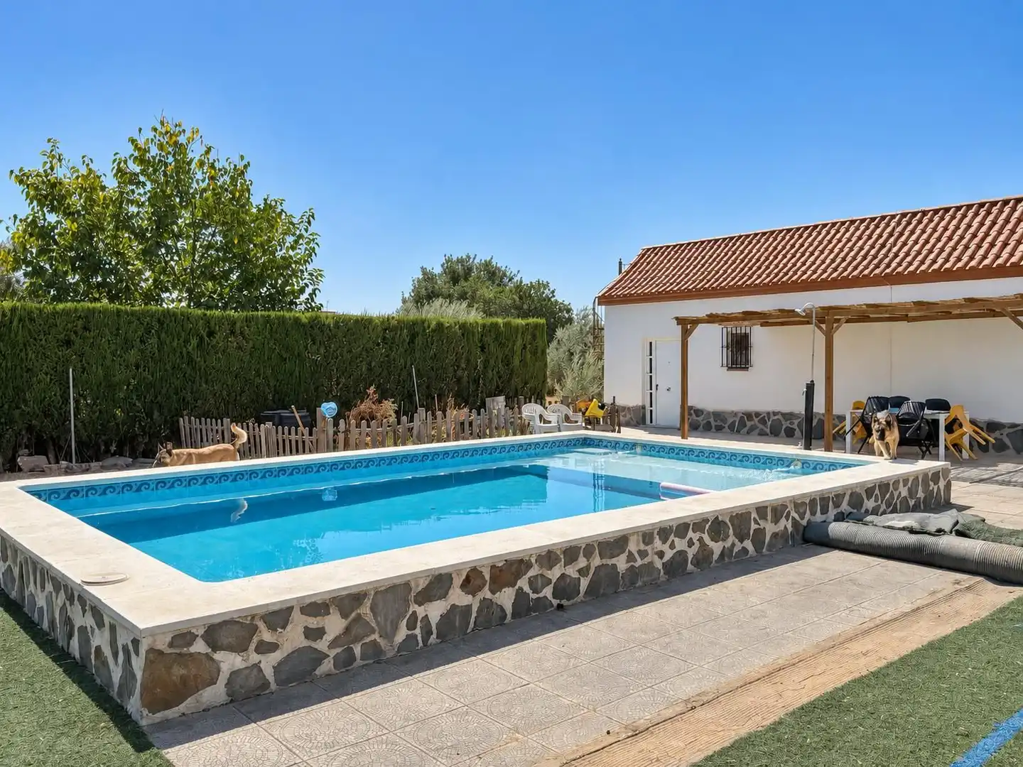 Villa avec piscine à vendre à Pedanías Norte, imagen 5