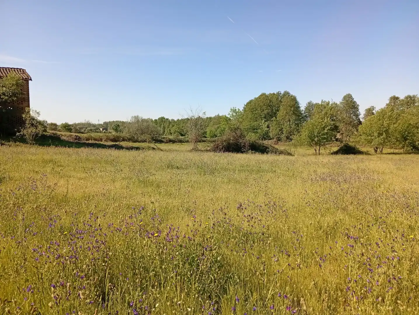 Terreni e lotti in vendita a Talaveruela de la Vera, imagen 76
