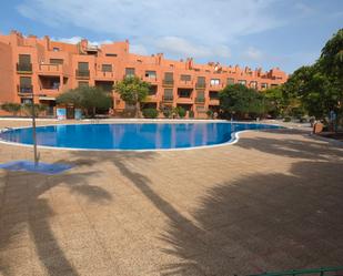 Swimming pool of Flat for sale in Granadilla de Abona  with Terrace, Storage room and Furnished
