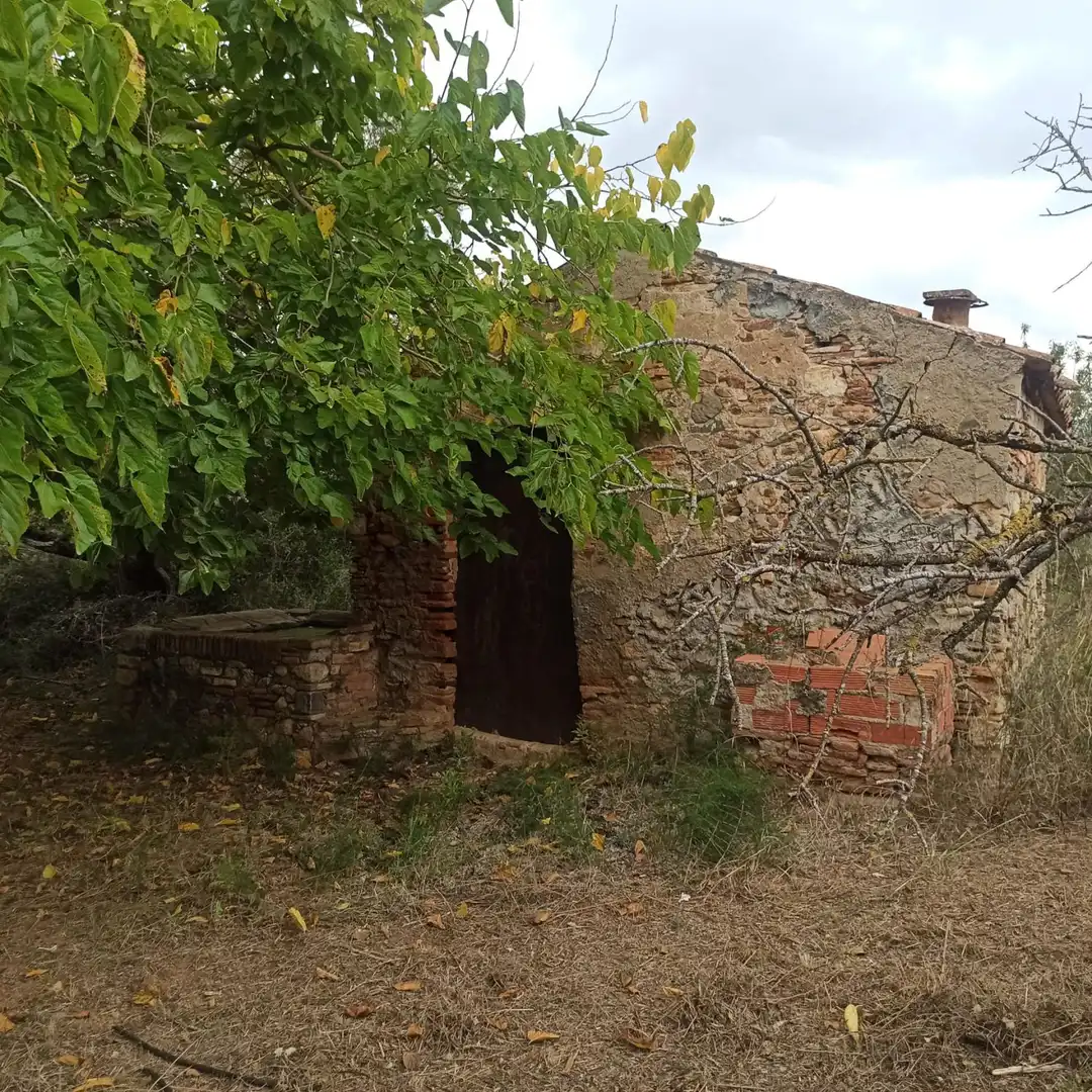 Finca rústica en venta en La Selva del Camp