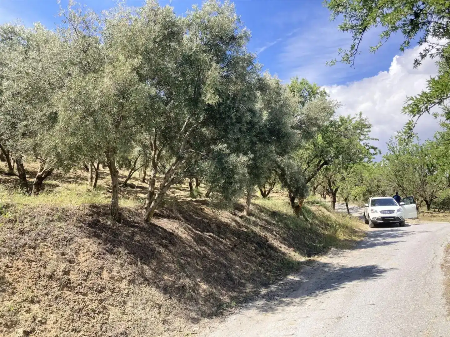 Finca rústica en venda en Güéjar Sierra
