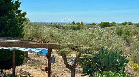 Foto 3 de Finca rústica en venda a Camarles, Tarragona
