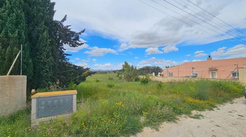 Foto 3 de Residencial en venta en Partida Valverde Bajo, 9014, Valverde, Elche / Elx