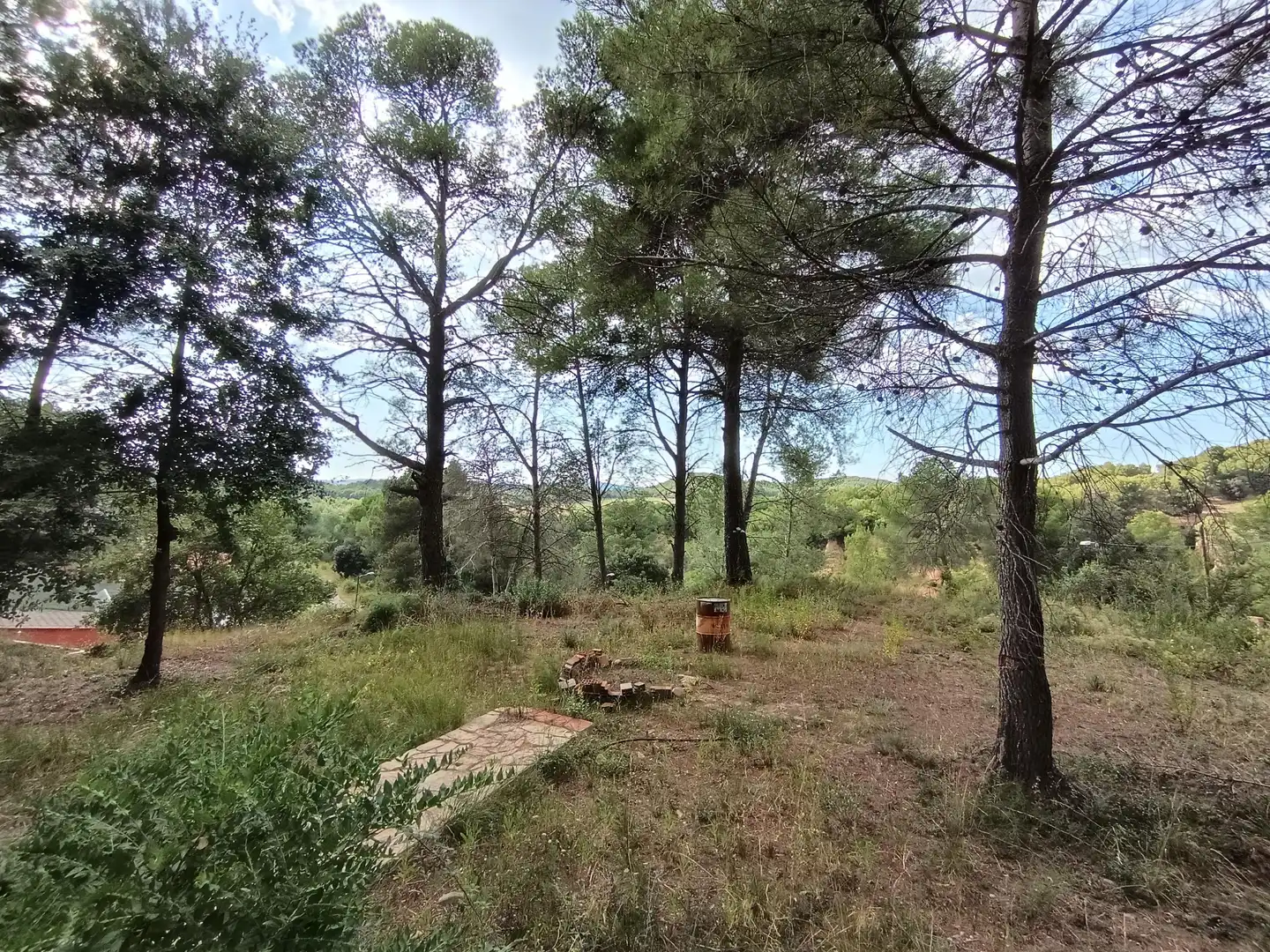 Terrain rustique à vendre à Piera, imagen 4
