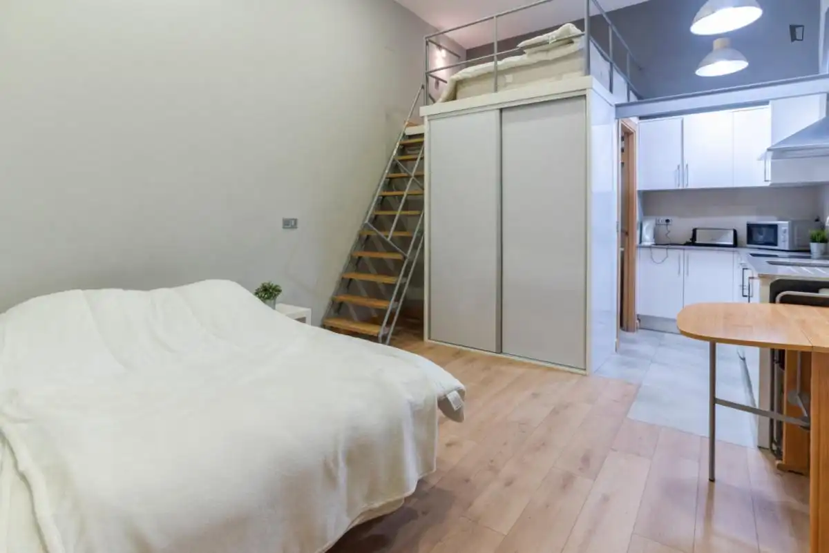 Estudio en alquiler en Centro, imagen 2