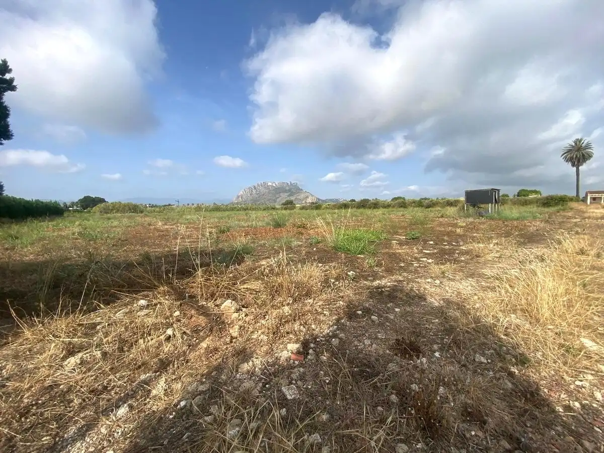 Lands and plots for sale in Els Poblets, imagen 2