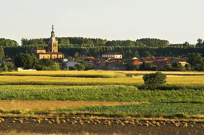 Vista exterior de Finca rústica en venda en Villarejo de Órbigo amb Calefacció