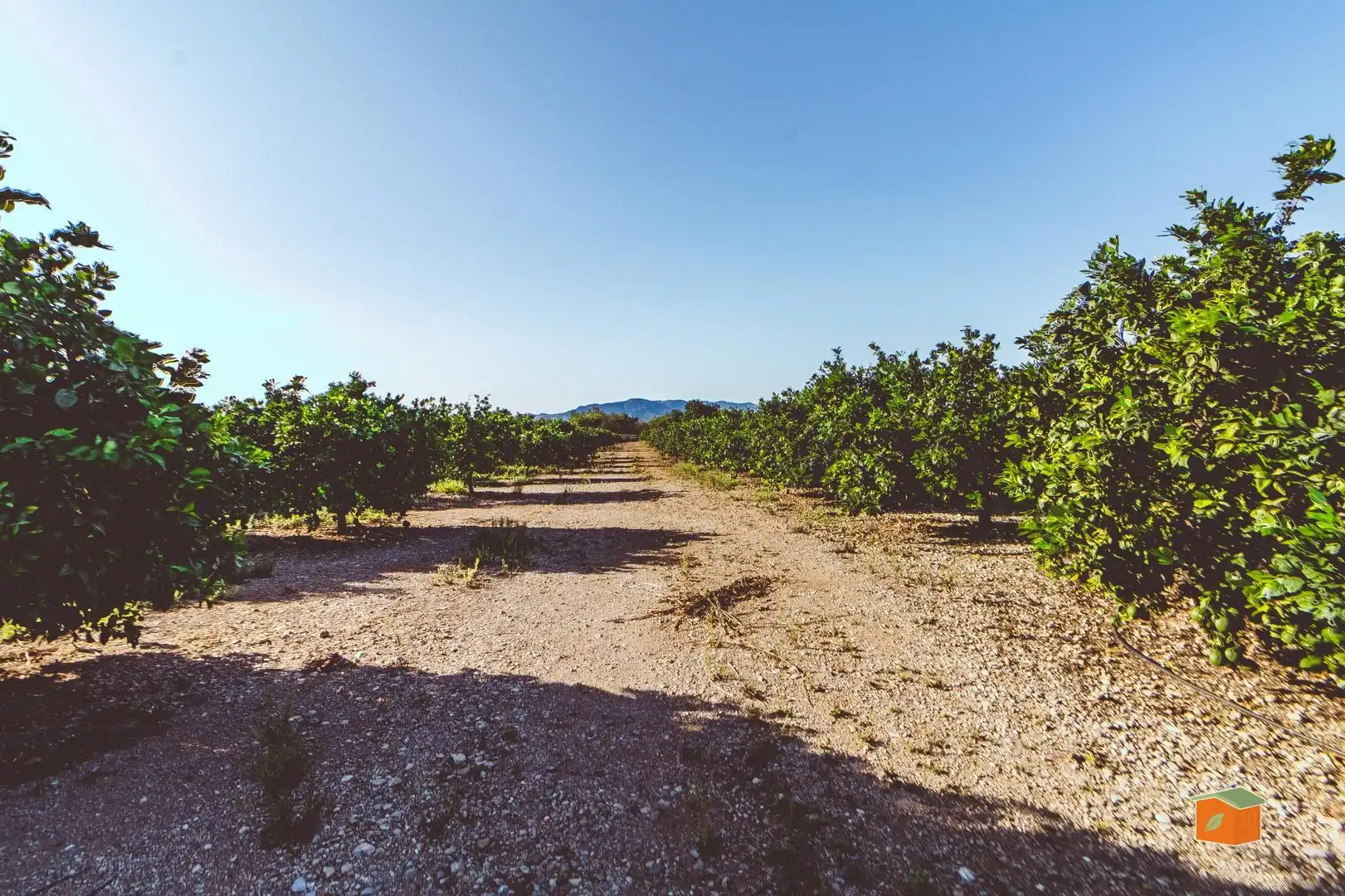Finca rústica en venta en Santa Bàrbara con Trastero y Amueblado