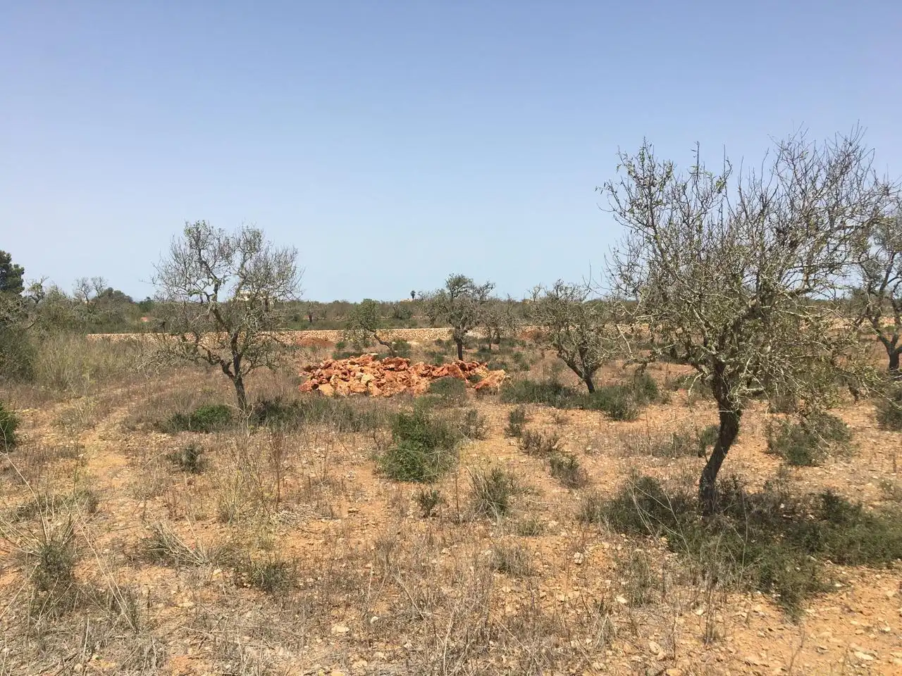 Casa amb piscina en venda a Camí des Pinaret Gran, imagen 13