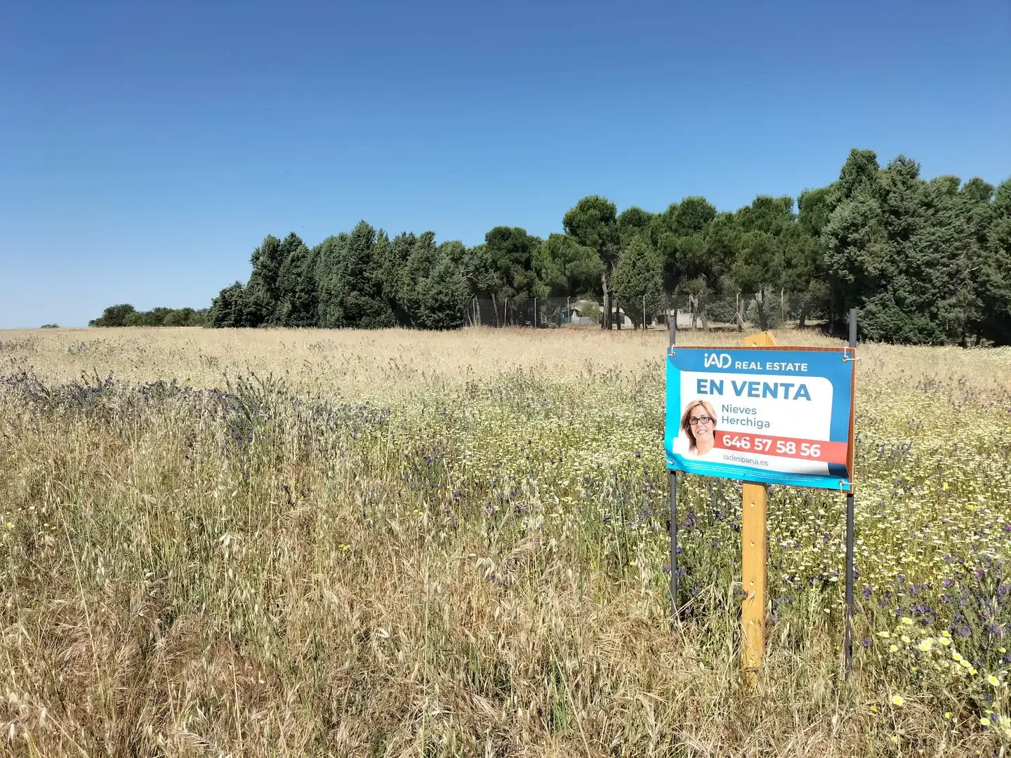 Rural land for sale in Cubas de la Sagra