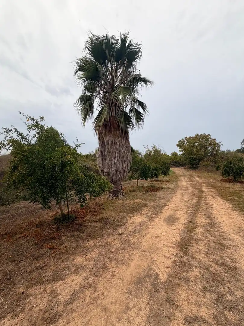 Residencial en venta en Benissoda, Valencia