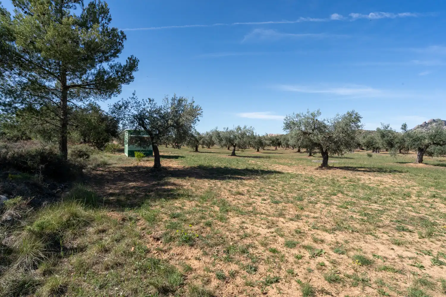 Rural land for sale in Raval dels Àngels 18, imagen 33