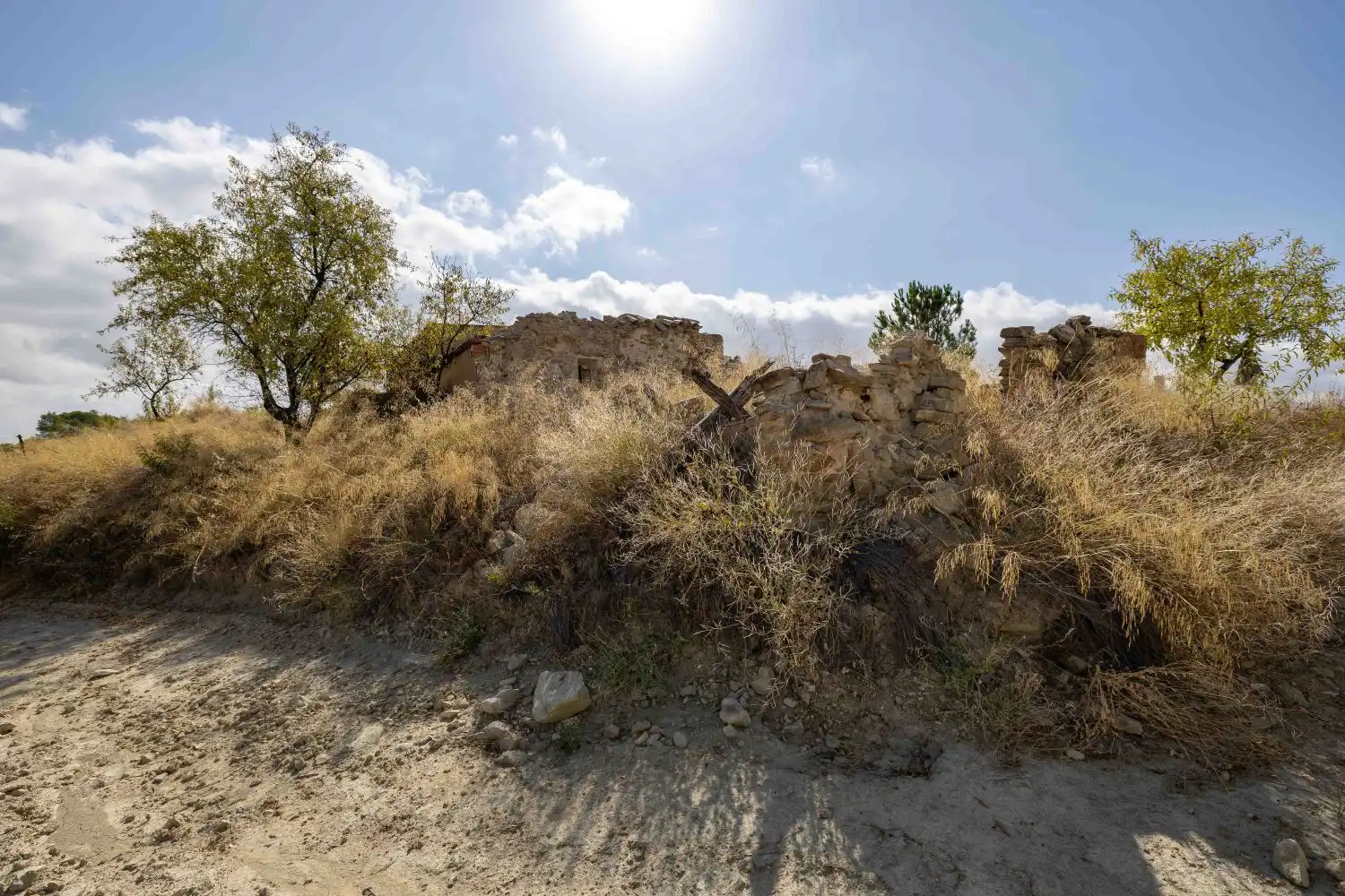 Finca rústica en venta en Mula