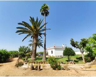 Garden of Country house for sale in Cervera del Maestre  with Swimming Pool