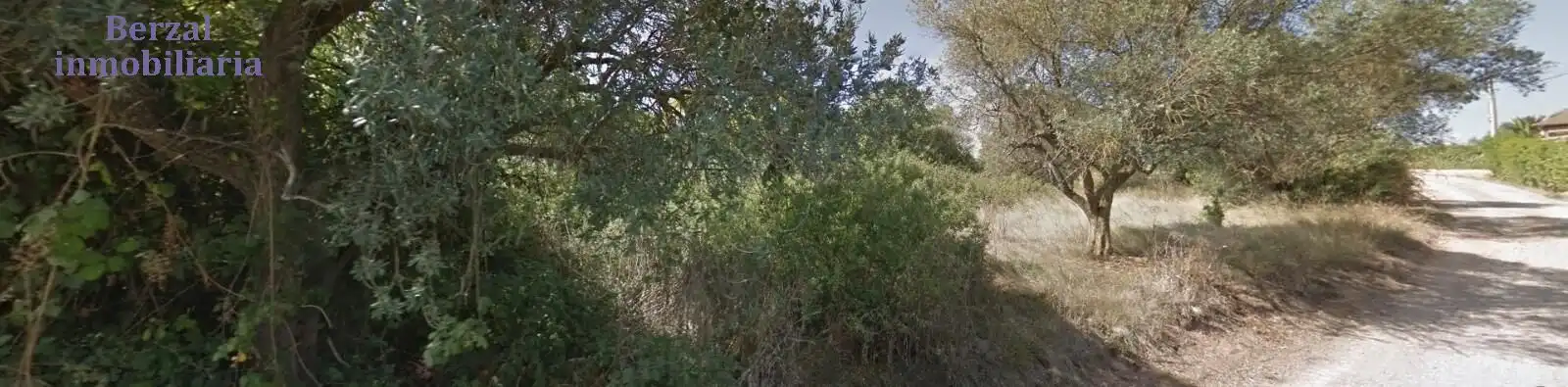 Rural land for sale in Camino Ancho
