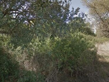 Terreno rústico en venta en Camino Ancho