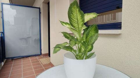 Photo 4 of Flat for sale in Carrer Jardí, Vallpineda - Santa Bàrbara, Sitges