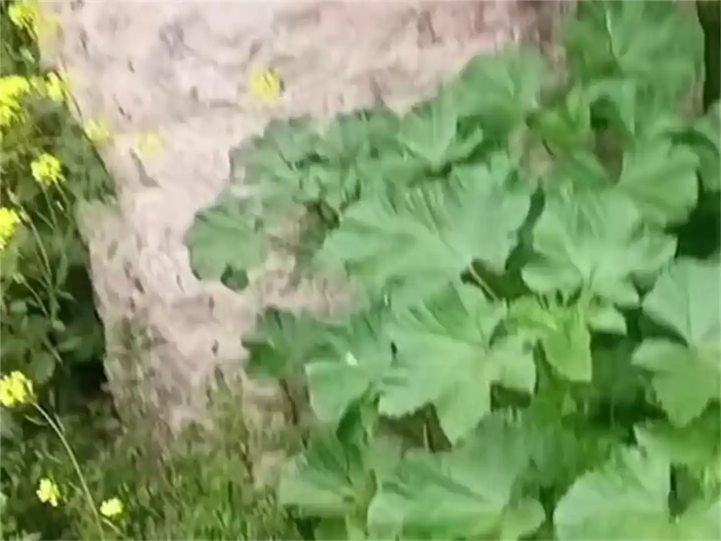 Jardí de Residencial en venda en Montearagón
