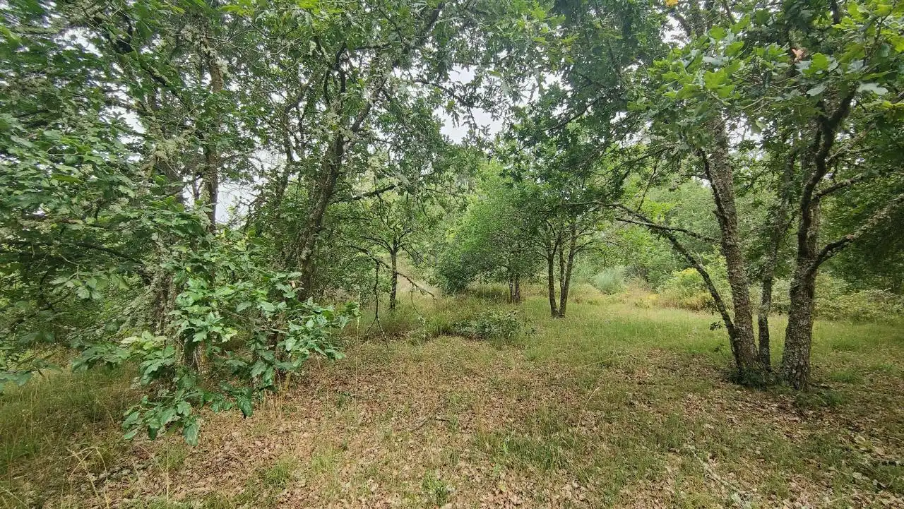 Terreny residencial en venda a San Cibrao das Viñas, imagen 3