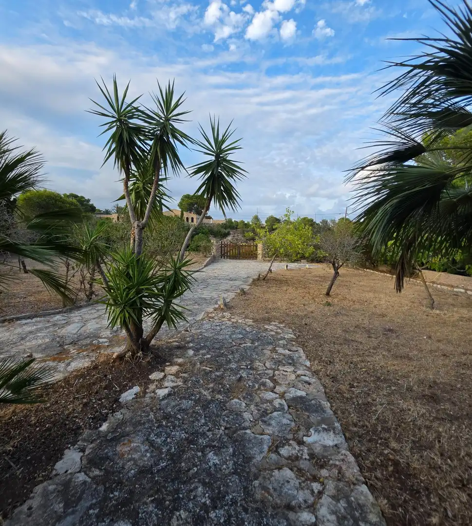 Haus mit Garten zum Verkauf in Roques Daurades - L'Estany, imagen 31