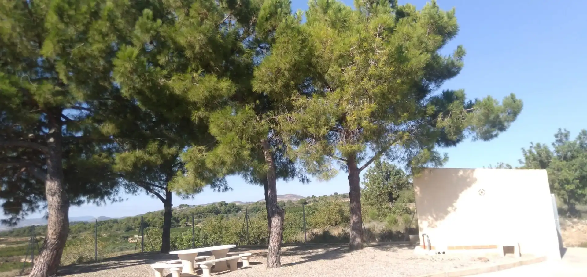Jardín de Finca rústica en venta en Pedralba con Jardín privado, Terraza y Trastero
