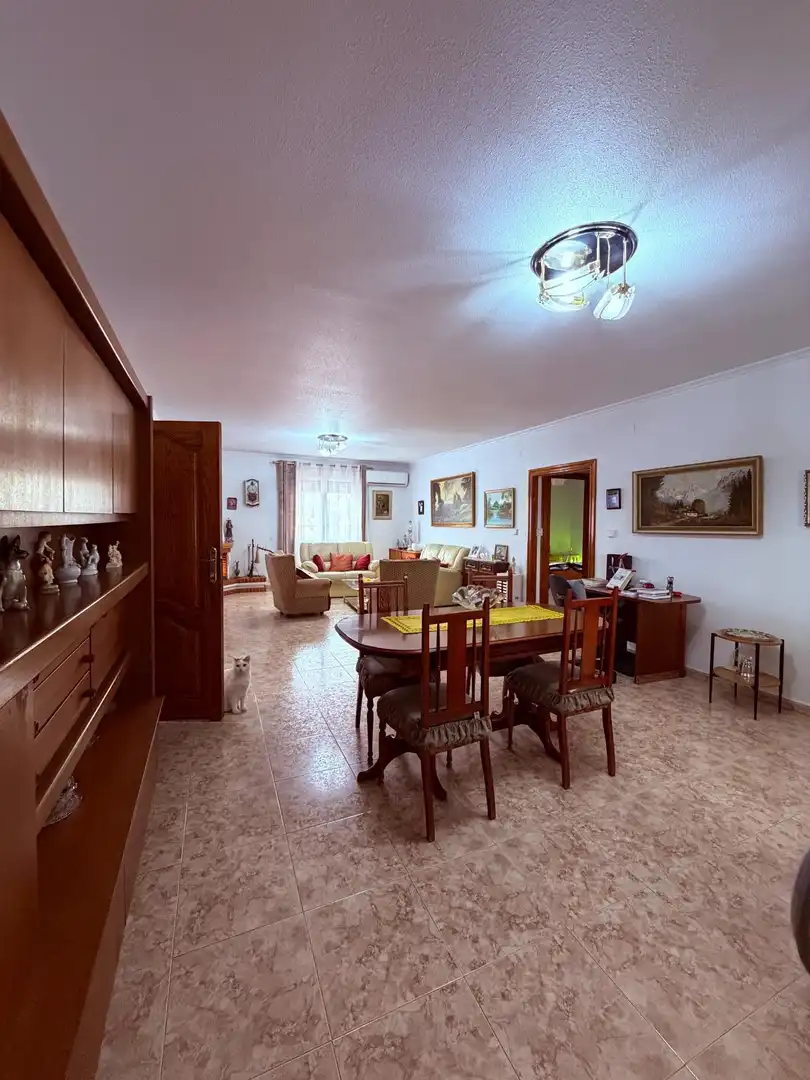 Sala d'estar de Casa o xalet en venda en Crevillent
