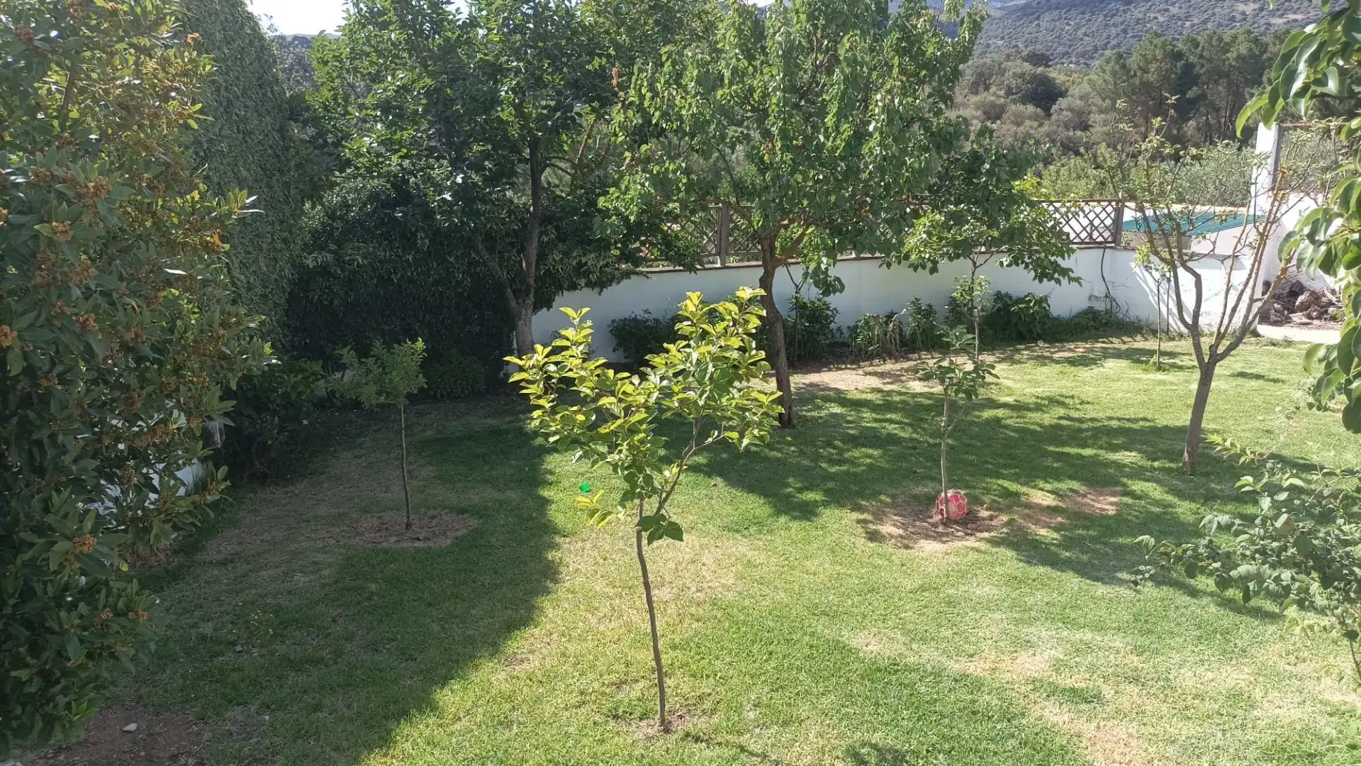 Garden of Country homes for sale in Ronda  with Heating, Private garden and Terrace