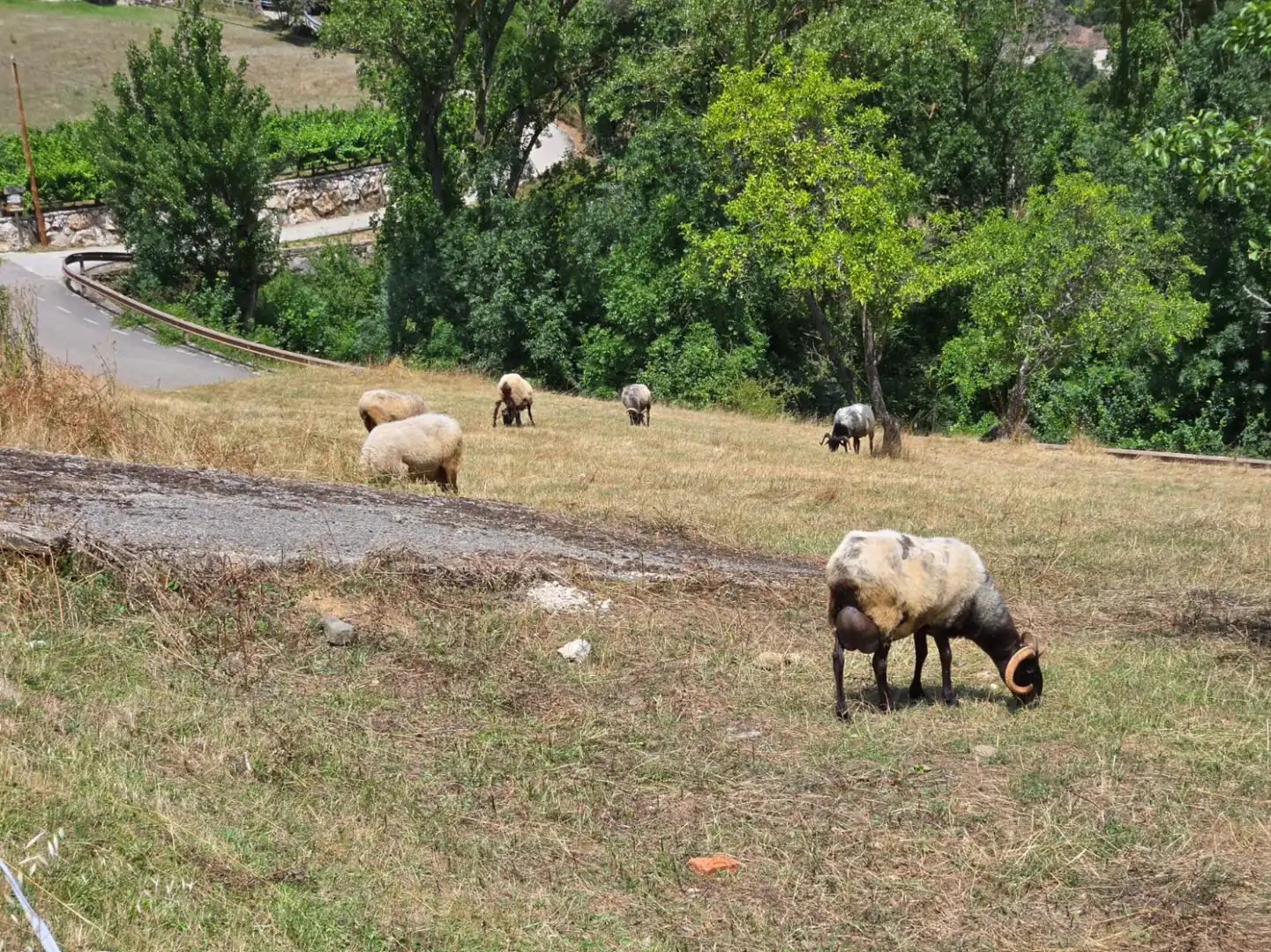 Terreno rustico in vendita a Cabezón de Liébana - CABARIEZO, imagen 5