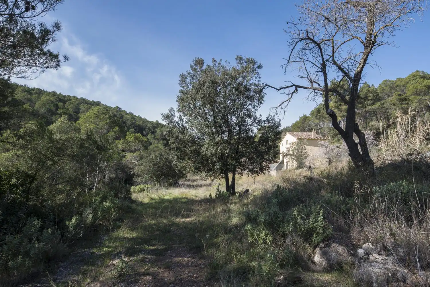 Finca rústica en venda en Aiguamúrcia