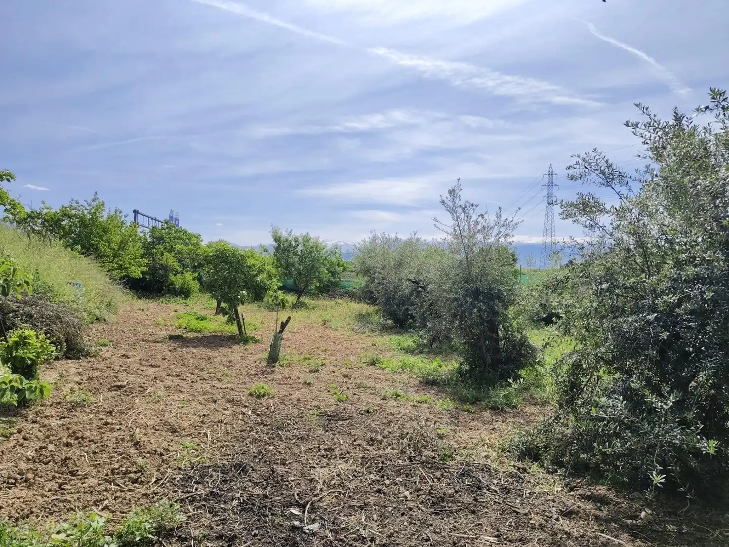 Country homes for sale in Albolote  with Private garden and Storage room