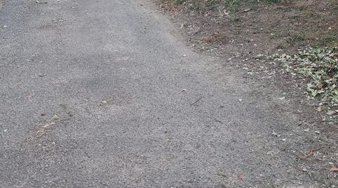 en Barro, immagine 2