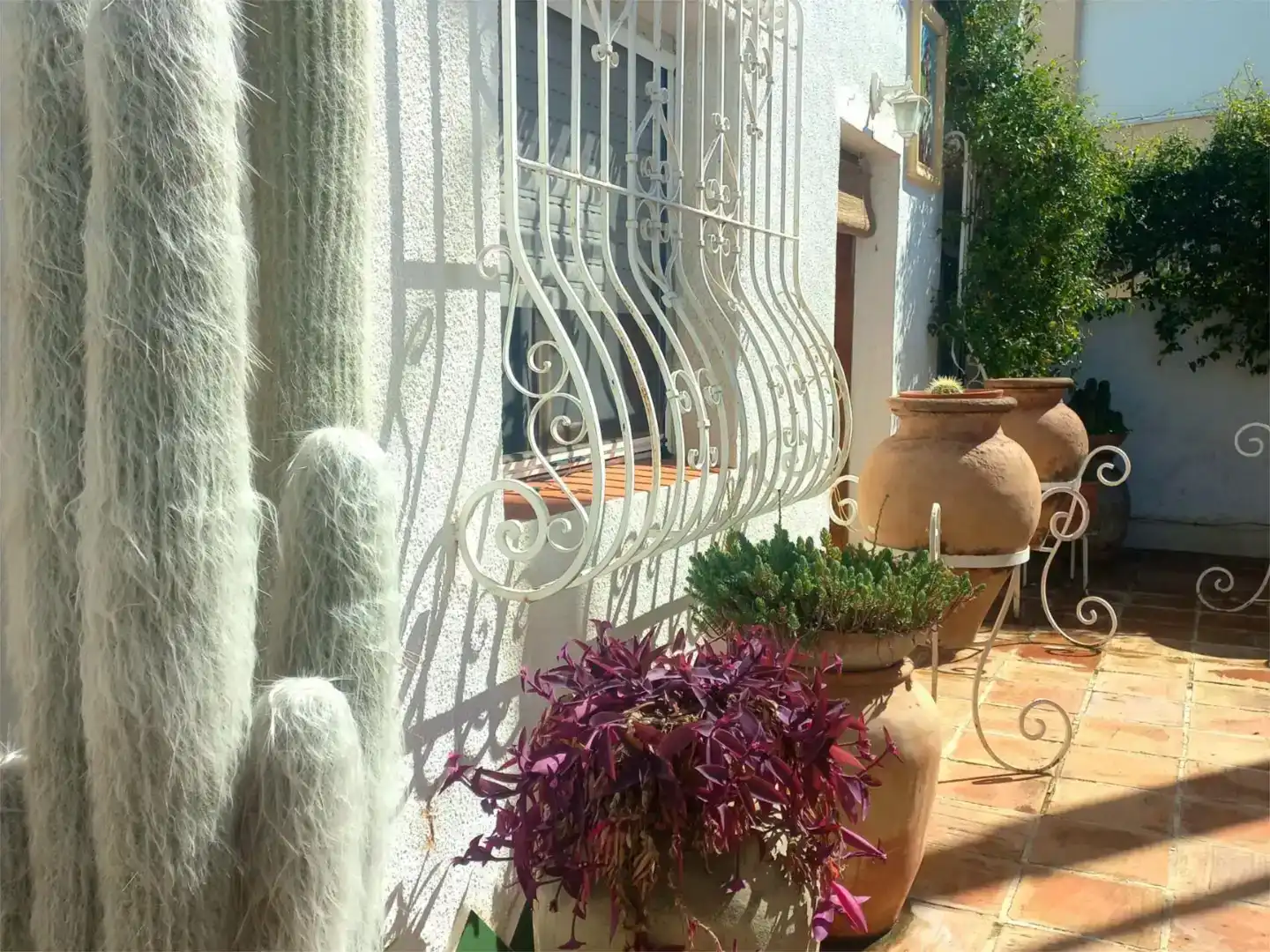 Terrassa de Casa o xalet en venda en Gandia amb Piscina