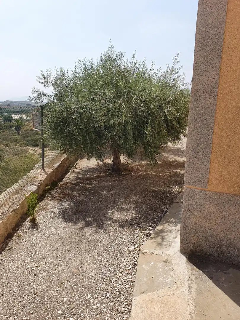 Inmuebles singulares en venta en Abanilla, imagen 29