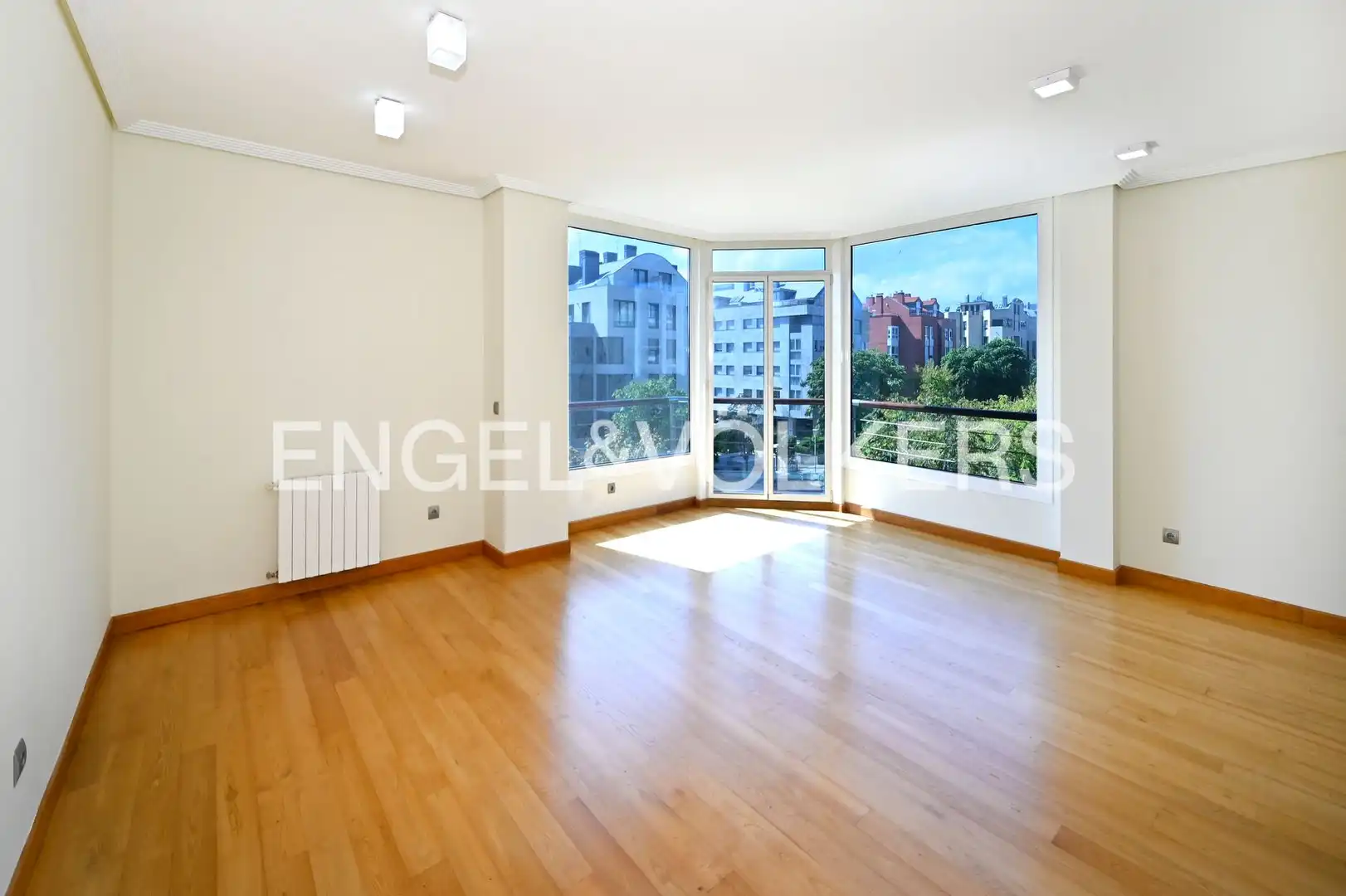 Appartamento con terrazza in affitto a Avenida Doctor Diego Madrazo, imagen 19