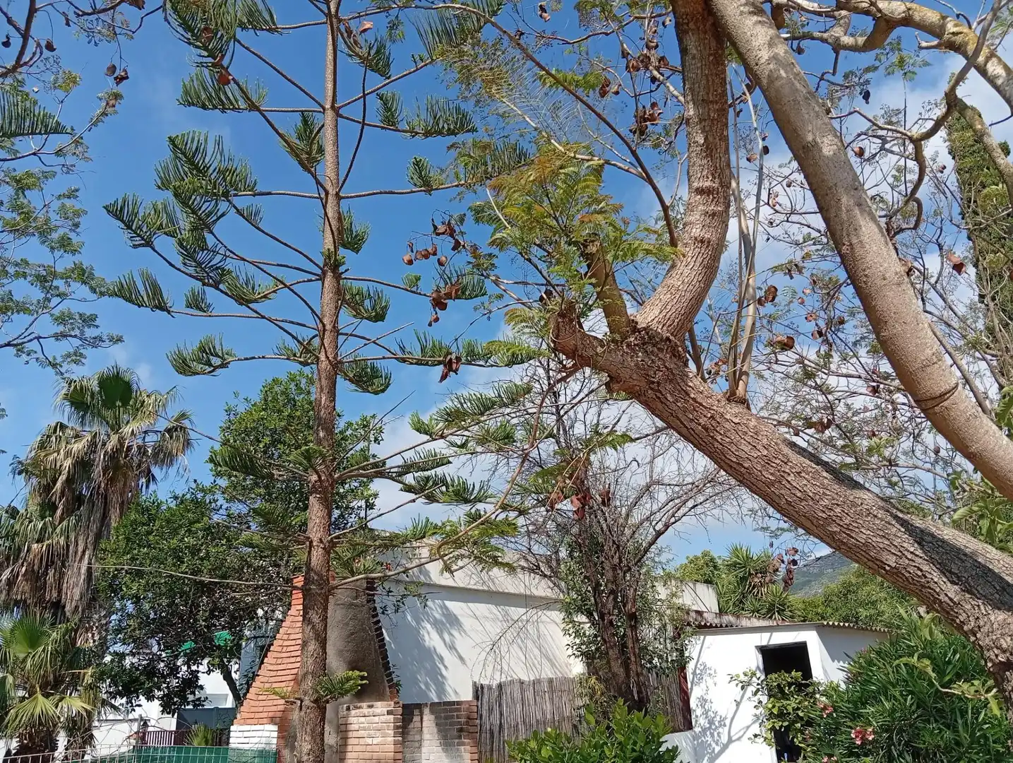 Vista exterior de Casa o xalet en venda en Alcanar amb Jardí privat