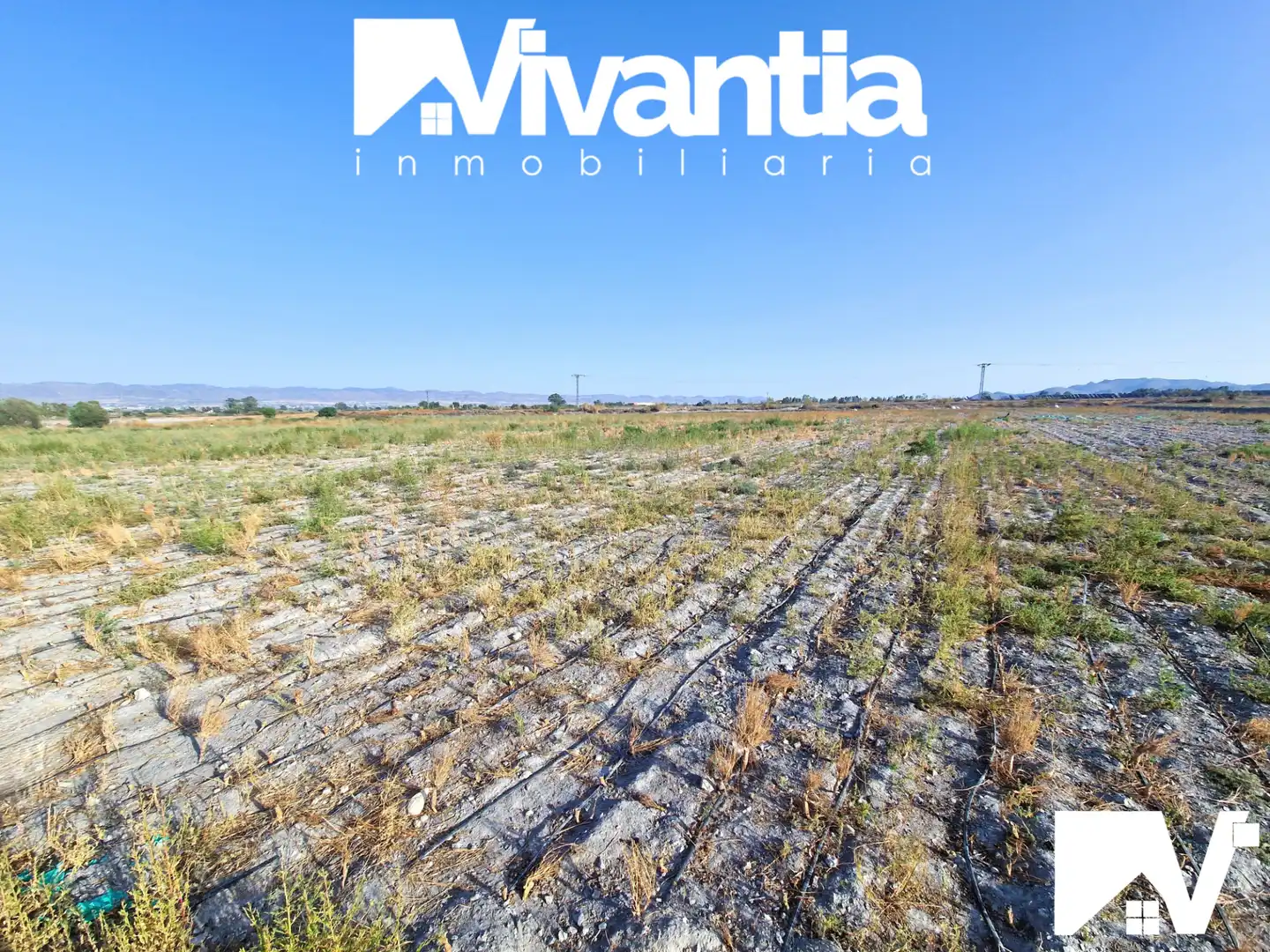 Terreni e lotti in vendita a Diseminado Torrecilla 477, imagen 3