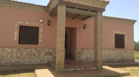 Foto 5 de Finca rústica en venta en Carretera Don Rodrigo, 4, Pedanías Norte, Utrera