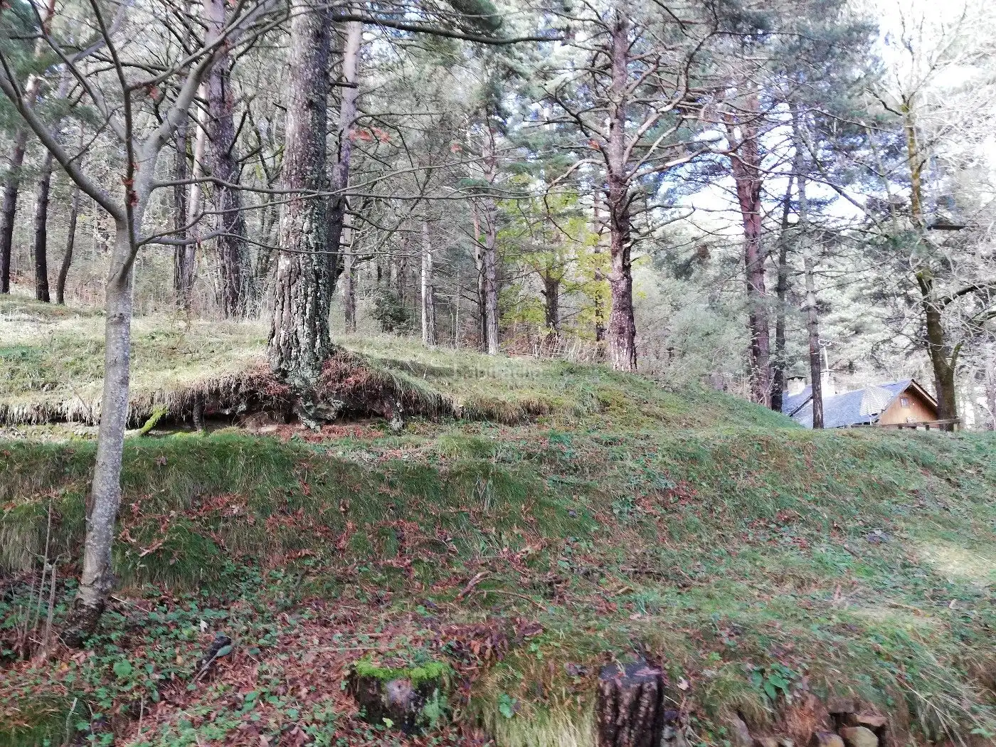 Wohnbaugrundstück zum Verkauf in Avinguda de la Molina 142