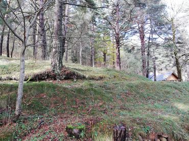 Wohnbaugrundstück zum Verkauf in Avinguda de la Molina 142