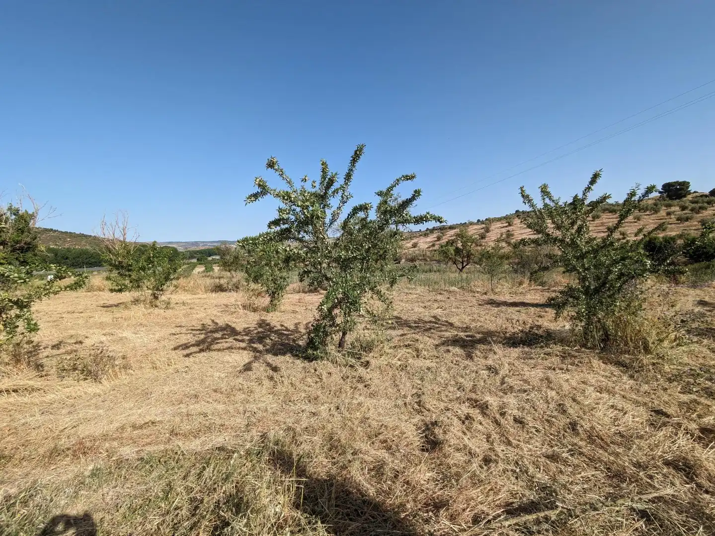 Residential land for sale in EXTRARRADIO, imagen 8