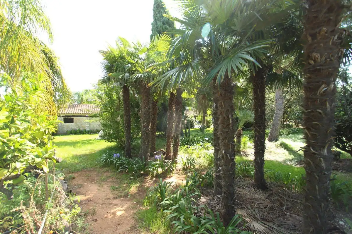 Houses for sale in La Pedrera - Vessanes