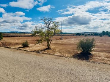 Wohnbaugrundstück zum Verkauf in Pedanías Norte