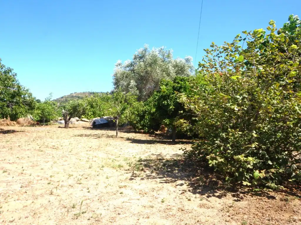 Houses for sale in Pineda de Mar