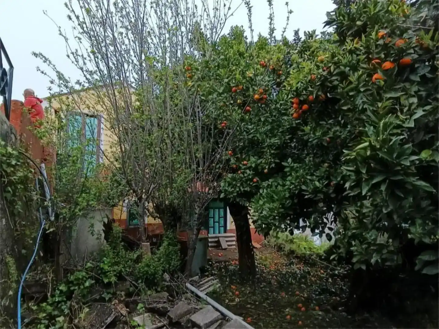 Vista exterior de Casa o chalet en venta en Valleseco con Balcón