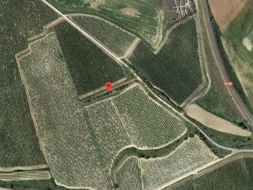 Terrenys i solars en venda a ANTELIGA