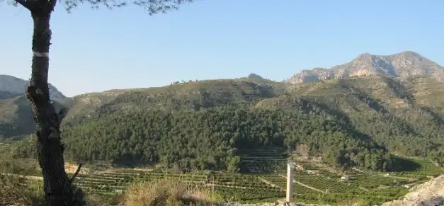 Rural land for sale in Plaça Poligono 03, imagen 10