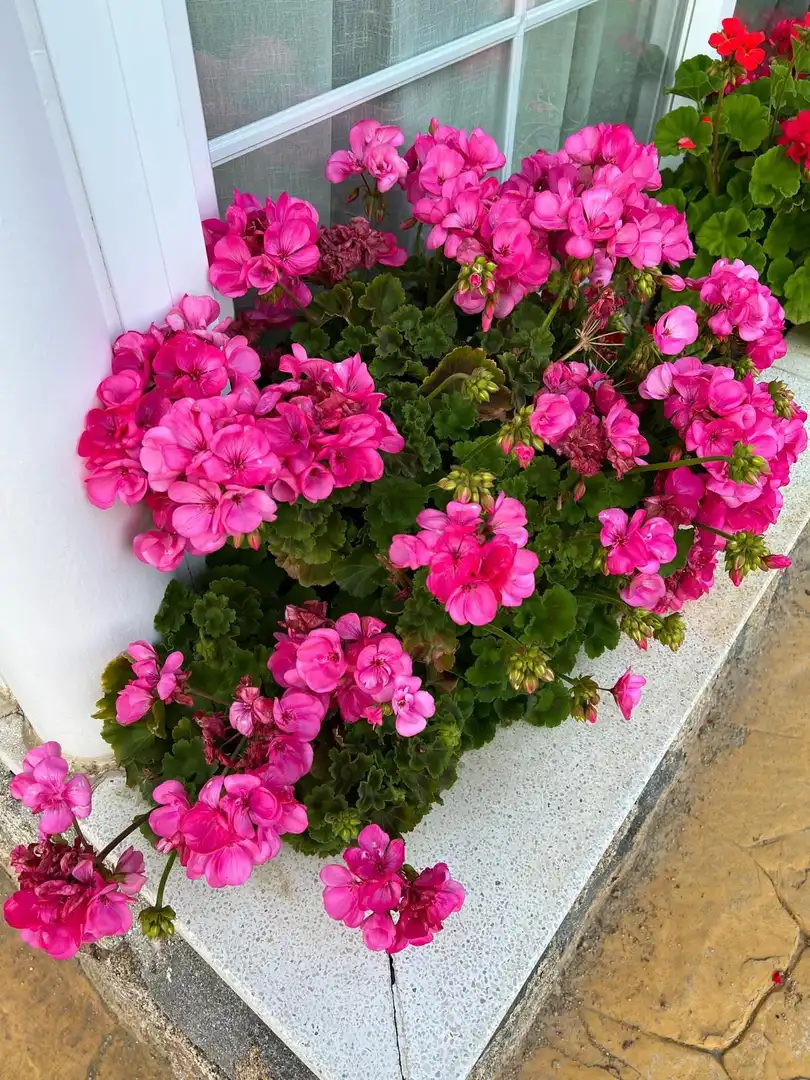 Exterior view of Houses for sale in Illescas  with Air Conditioner, Private garden and Parquet flooring