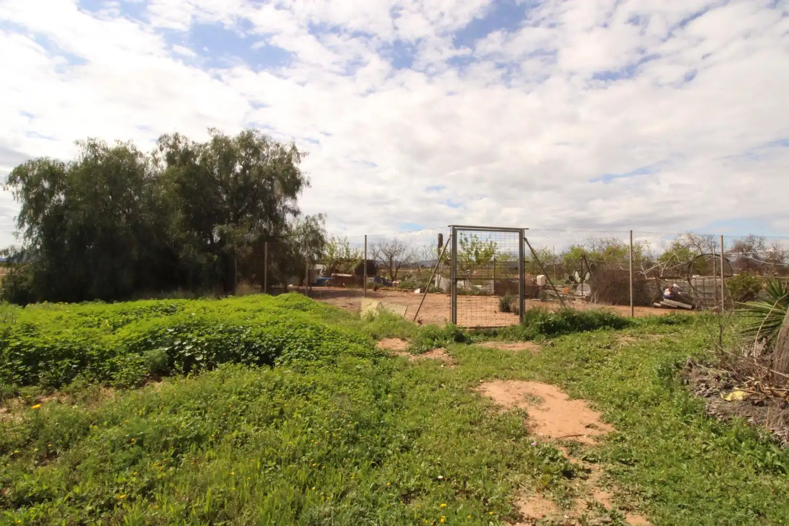 Casa o chalet en venta en Cartagena con Jardín privado